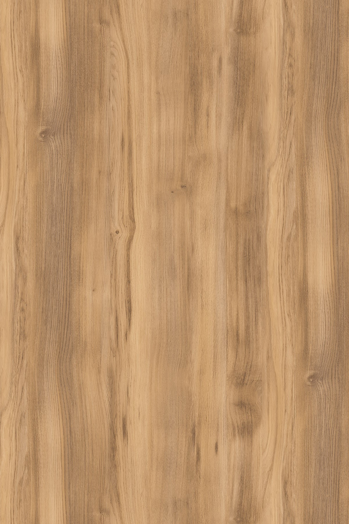 K535 Gold Baroque Oak